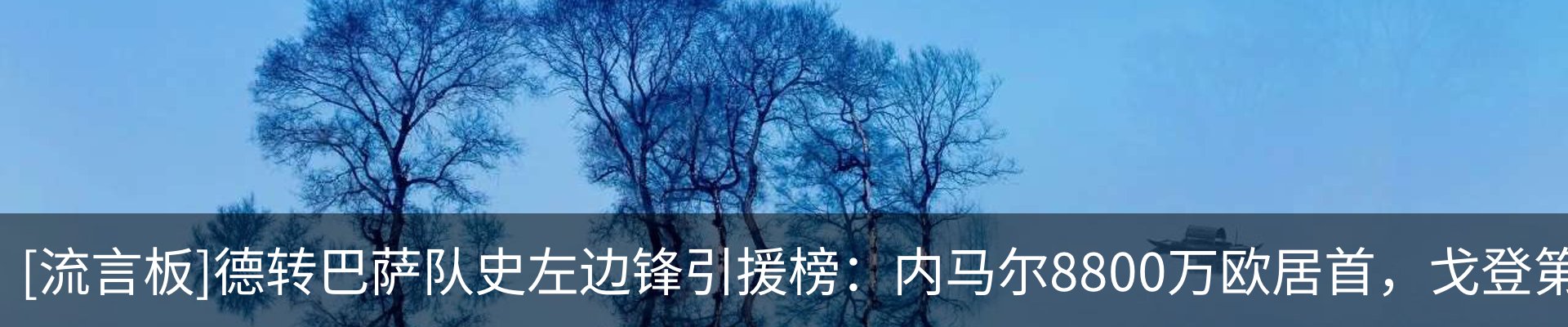 新闻动态